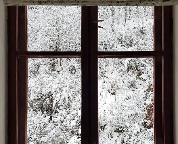 Apartament Miedzygorze *