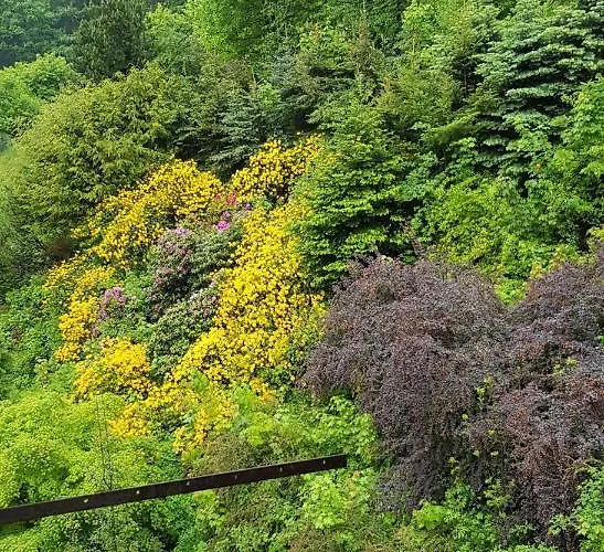 Apartament Miedzygorze * Miedzygorze