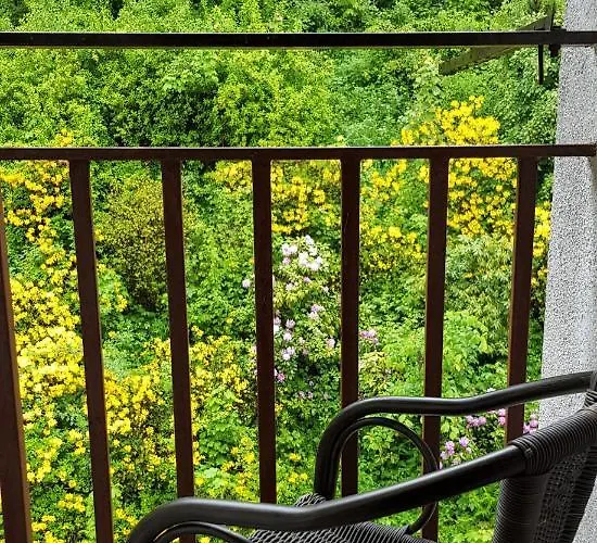 Apartament Miedzygorze